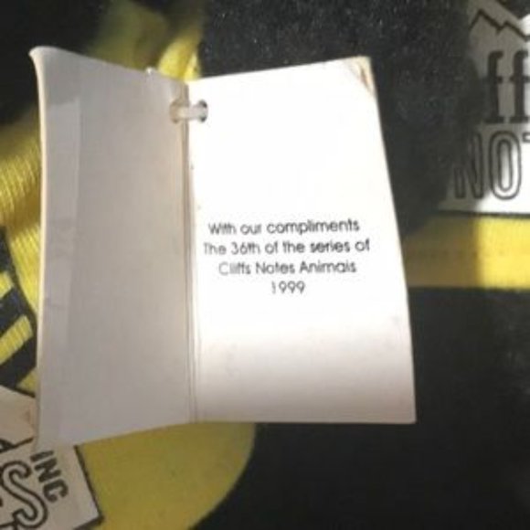 VTG & NEW 📌Cliffs Notes 36th of Series Cliffs Notes Collector’s Teddy Bear 1999 - Picture 8 of 11